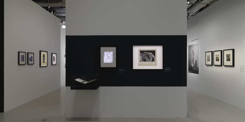 (c) Centre pompidou, Audrey Laurans (90)